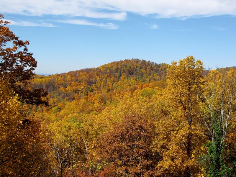 Asheville, North Carolina, USA