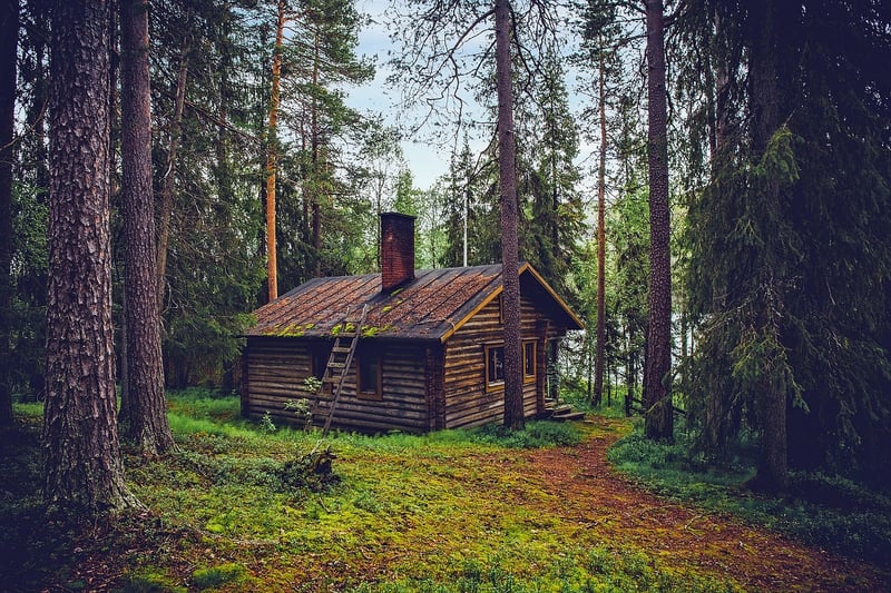Remote Cabin on the Forest Edge