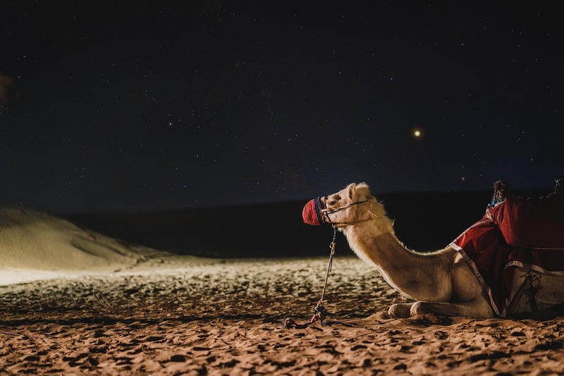 Sahara Desert, Morocco