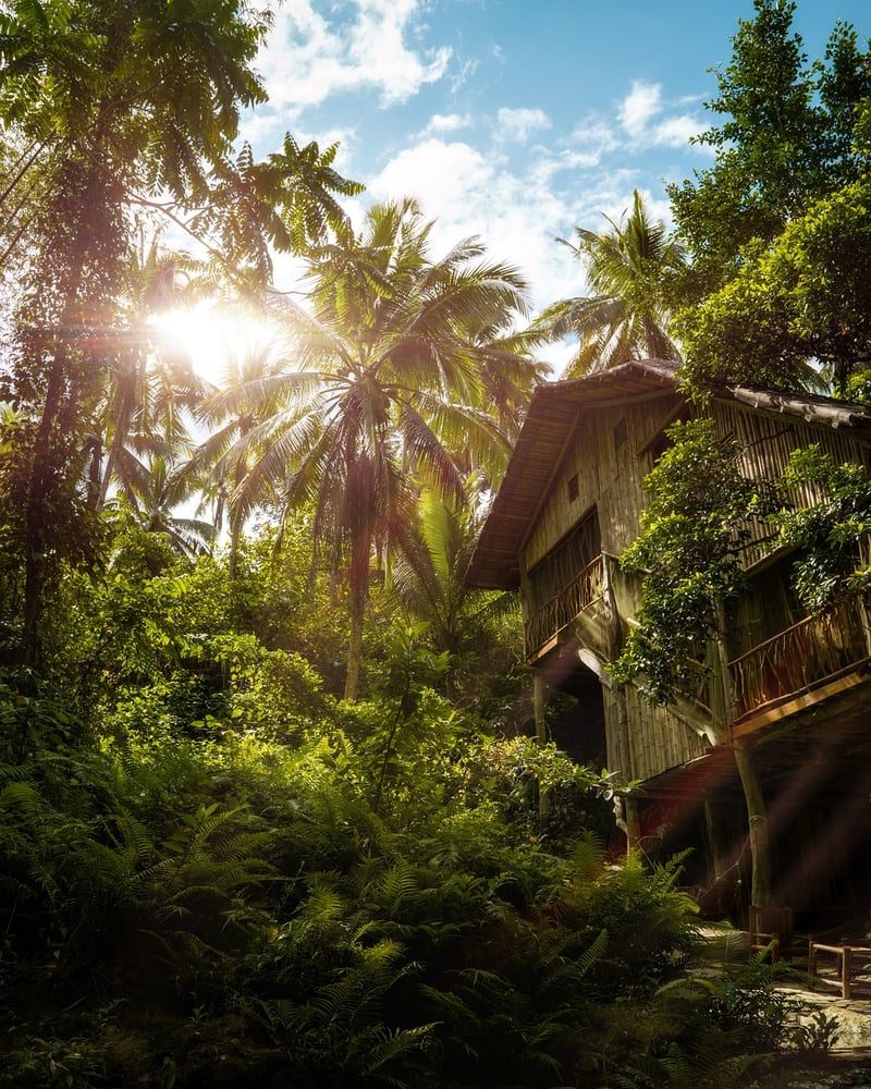 Treehouse Lodge, Peru